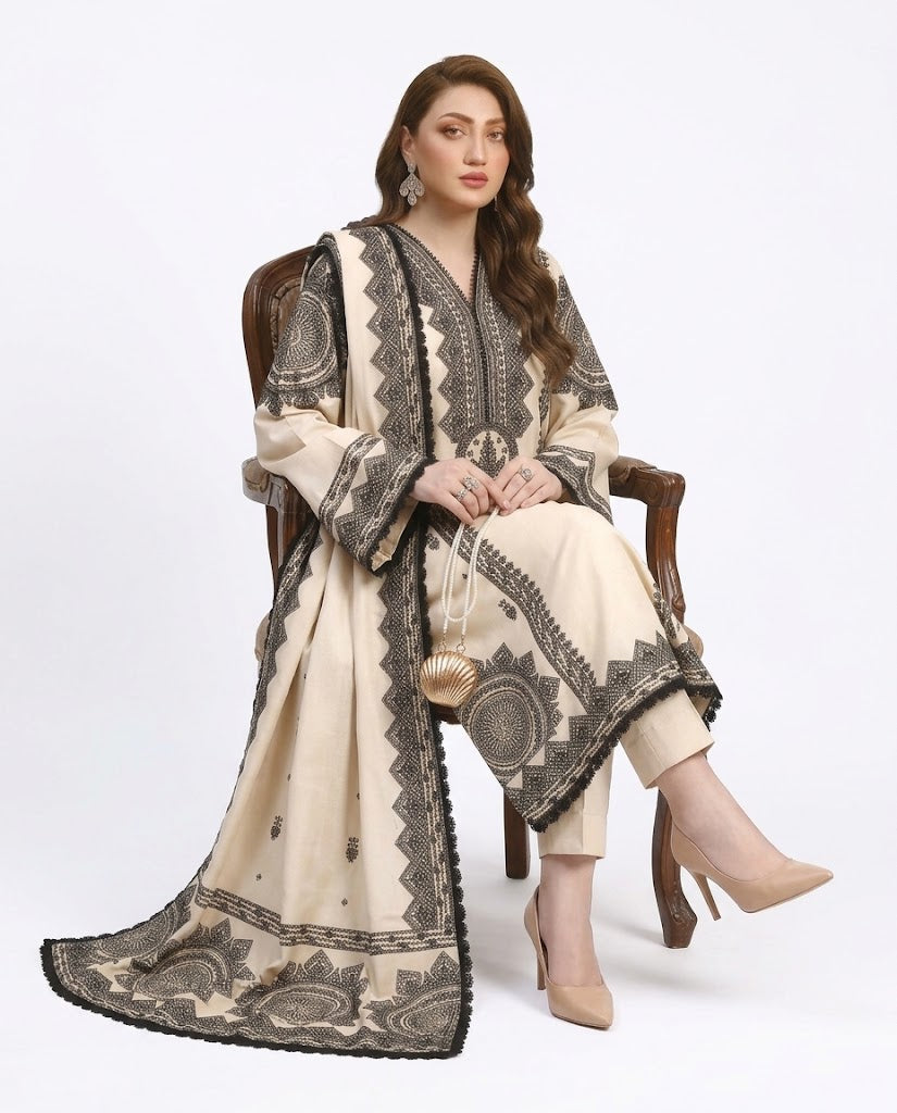 Indian Boti 3 Piece Winter Collection | Dhanak Air Jet Embroidered Suit